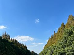 -嘉北郊野公园