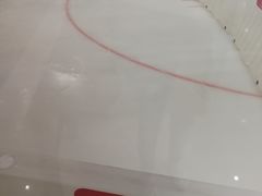 -TheRink大零溜冰场(IFS国金中心店)