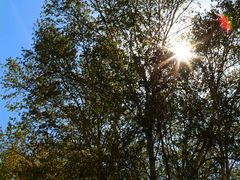 -塞罕坝国家级自然保护区