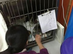 -惠康宠物医院(华能路店)