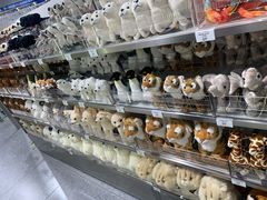 -X11(北京首开熙悦龙湖天街龙湖店)