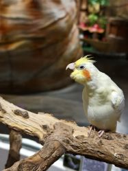 -Zoolung Zoolung动物主题公园(海信广场店)