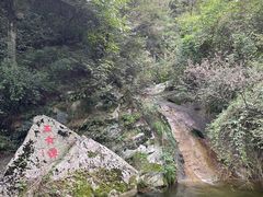 -王顺山国家森林公园