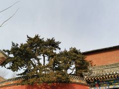 景点-五台山风景名胜区-罗睺寺