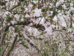 -元大都城垣遗址公园