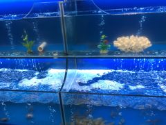 水产区-芭菲盛宴·环球美食(袁家岗店)