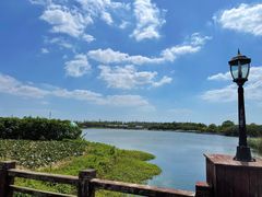 -上海都市菜园