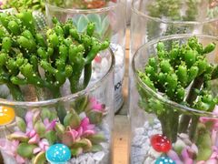 -双季花艺园艺市场(浦东店)