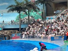 -海合安成都极地海洋公园