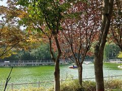 -莲湖公园