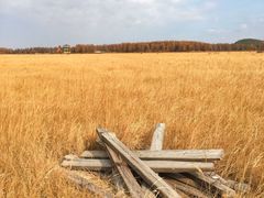 -塞罕坝国家级自然保护区