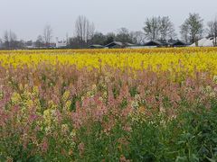 -中国天府农业博览园