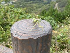 -鬼笑石后山停车场