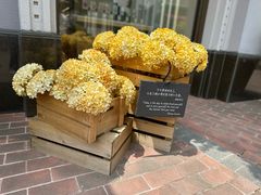 -比斯特上海购物村精品奥特莱斯