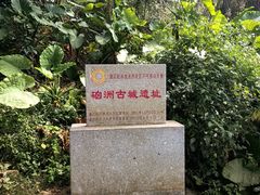 -硇洲岛旅游区