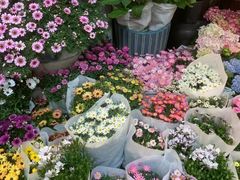 -双季花艺园艺市场(浦东店)