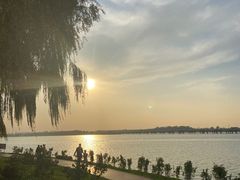 -丁香湖公园