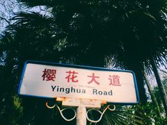 -武汉大学-樱园