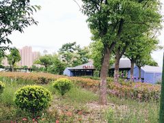 -菊园百果园