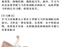 -多维国际马术俱乐部(118广场店)