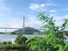 -芒洲湿地公园