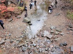 -关门山森林公园