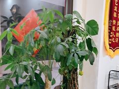 -张钰强中医正骨推拿连锁(唐家人才公寓店)