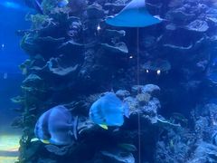 -蓬莱欧乐堡海洋极地世界