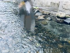 -红峡谷