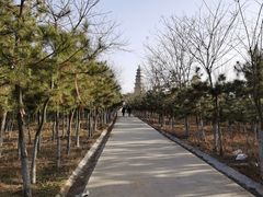 -渭南桃花源民俗文化园