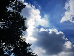 -火炉山森林公园