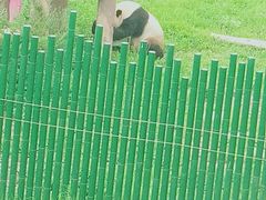 -沈阳森林动物园