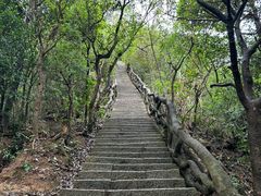 -梧桐山风景名胜区