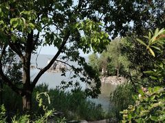 -上海吴淞炮台湾国家湿地公园