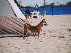 -那香海钻石沙滩浴场
