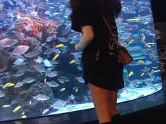 -成都浩海立方海洋公园