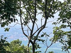 -紫金山山顶公园