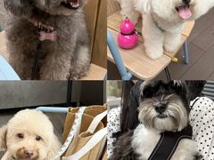 -Grande A'moo(上海万象城店)