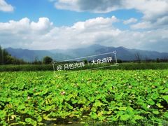 -野鸭湖国家湿地公园