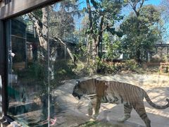 -昆明动物园