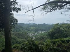 -十里琅珰