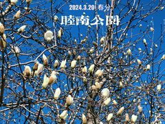 -睦南公园