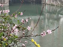 -成都市活水公园