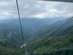 -牛背梁国家森林公园