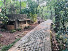 -紫金山山顶公园