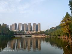 -重庆彩云湖湿地公园