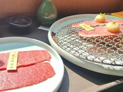 -老乾杯(深圳湾万象城店)