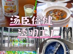 -汤臣倍健透明工厂景区