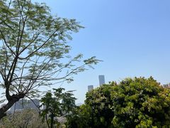 -青青世界