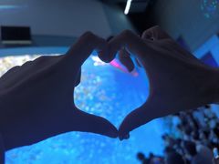 -合肥海洋世界